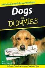 Watch Dogs for Dummies Vodly