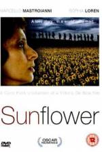 Watch Sunflower Vodly