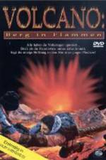 Watch Volcano: Fire on the Mountain Vodly