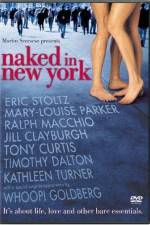 Watch Naked in New York Vodly