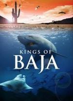 Watch Kings of Baja Vodly