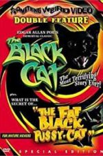 Watch The Black Cat Vodly