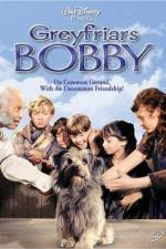 Watch Greyfriars Bobby The True Story of a Dog Vodly