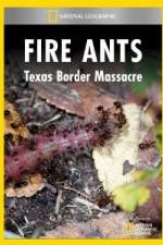 Watch National Geographic Fire Ants: Texas Border Massacre Vodly