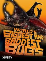 Watch World\'s Biggest and Baddest Bugs Vodly