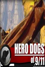 Watch Hero Dogs of 911 Documentary Special Vodly