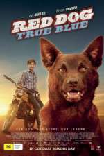 Watch Red Dog True Blue Vodly