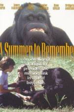 Watch A Summer to Remember Vodly