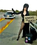 Watch The Elvira Show Vodly
