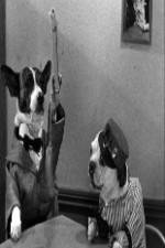 Watch The Two Barks Brothers Vodly