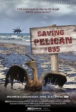 Watch Saving Pelican 895 (Short 2011) Vodly