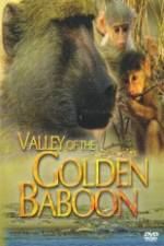 Watch National Geographic Golden Baboons Vodly