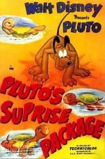 Watch Pluto\'s Surprise Package Vodly