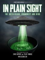 Watch In Plain Sight: The Intelligence Community and UFOs Vodly