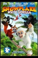 Watch Snowflake, the White Gorilla Vodly