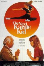 Watch The Next Karate Kid Vodly