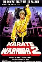 Watch Karate Warrior 2 Vodly