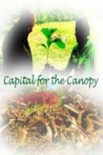 Watch Capital for the Canopy Vodly