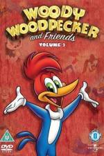 Watch Woody Woodpecker and His Friends Vodly