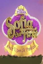 Watch Sofia the First Once Upon a Princess Vodly