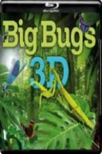 Watch Big Bugs in 3D Vodly