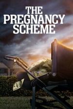 Watch The Pregnancy Scheme Vodly