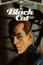 Watch The Black Cat Vodly