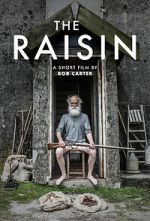 Watch The Raisin (Short 2017) Vodly