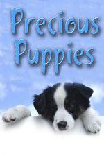 Watch Precious Puppies Vodly