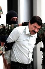 Watch The Rise and Fall of El Chapo Vodly