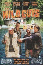 Watch The Wild Guys Vodly