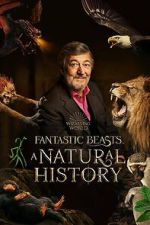 Watch Fantastic Beasts: A Natural History Vodly