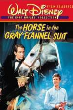Watch The Horse in the Gray Flannel Suit Vodly