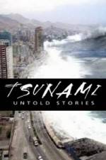 Watch Tsunami: Untold Stories Vodly