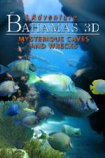 Watch Adventure Bahamas 3D - Mysterious Caves And Wrecks Vodly