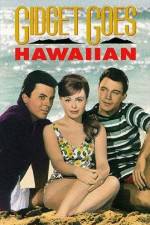 Watch Gidget Goes Hawaiian Vodly