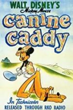 Watch Canine Caddy Vodly