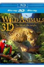 Watch Wild Animals - The Life of the Jungle 3D Vodly