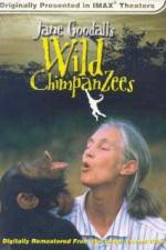 Watch Jane Goodall's Wild Chimpanzees Vodly