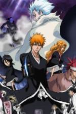 Watch Bleach: The Diamond Dust Rebellion Vodly