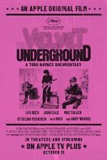 Watch The Velvet Underground Vodly