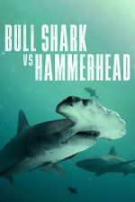 Watch Bull Shark vs Hammerhead Vodly
