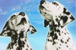 Watch 101 Dalmatians Sing Along Vodly