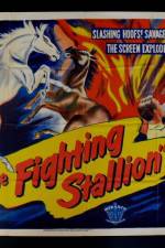 Watch The Fighting Stallion Vodly