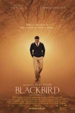 Watch Blackbird Vodly