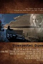 Watch Unexpected Guest Vodly