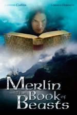 Watch Merlin and the Book of Beasts Vodly