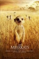 Watch The Meerkats Vodly