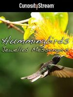 Watch Hummingbirds Jewelled Messengers Vodly