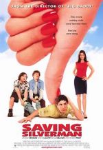 Watch Saving Silverman Vodly